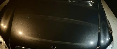 Professional paint correction process